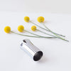 Champagne Pourer